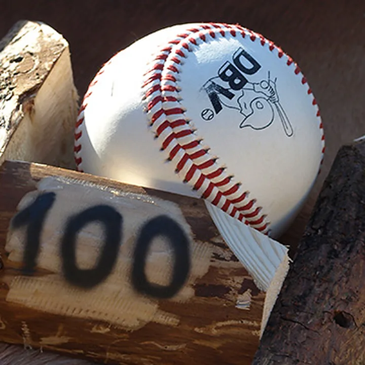Detail: weißer Baseball im Zielfeld „100“ der mit Fell bespannten Sprungschänzle-Rampe – Geschicklichkeitsspiel zum Mieten im Hochschwarzwald